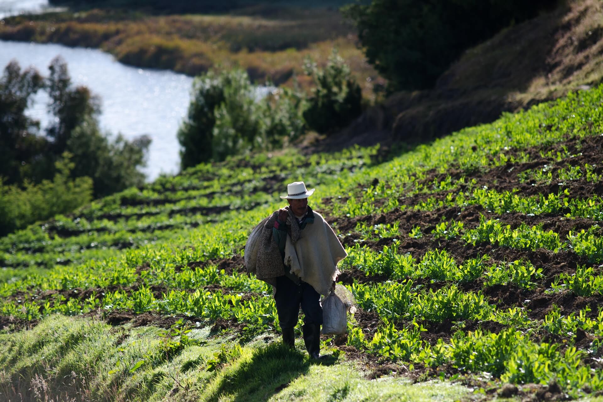 CONPRES 4184 SE ARRANCA COMO HOJA DE RUTA DE LA REFORMA AGRARIA HASTA 2036