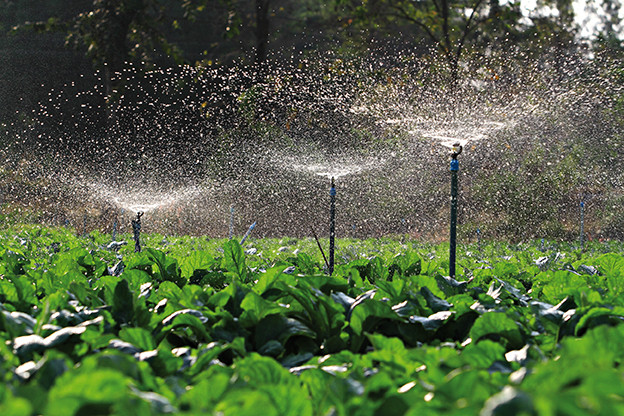  CAPTACION DE AGUA LLUVIA PARA USO AGRICOLA